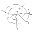 Spider Silk.gif