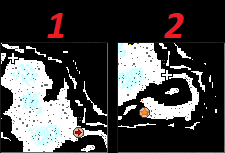 33 wws.png