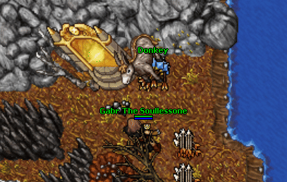 The heart and the blood of the mountain npc.gif