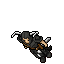 Black Knight.gif