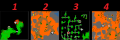 Thumbnail for version as of 00:19, 23 January 2026