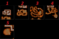 Thumbnail for version as of 13:21, 11 September 2025