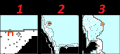31 wws.png