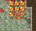 Thumbnail for version as of 15:17, 31 January 2026