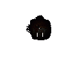 Thumbnail for version as of 16:58, 14 July 2026